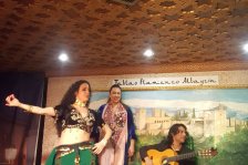 576 granada flamenco show